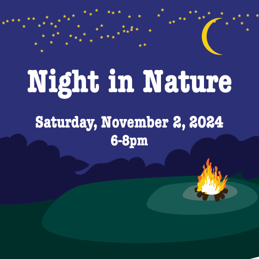 Night in Nature - logo